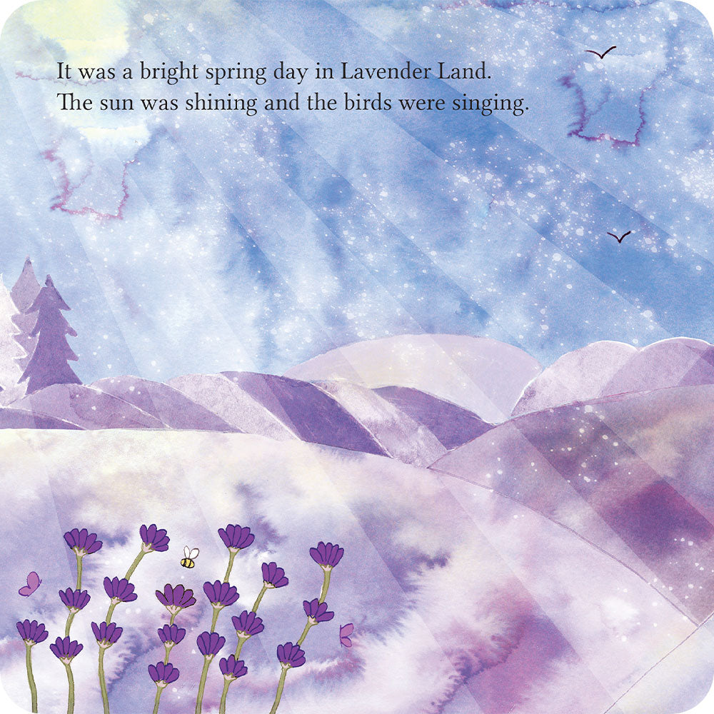 A Special Secret Place Board Book - Fresh Pair