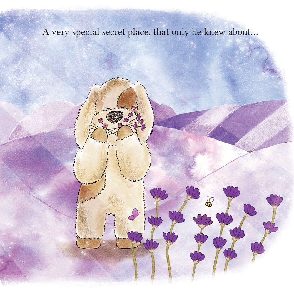 A Special Secret Place Board Book - Fresh Pair