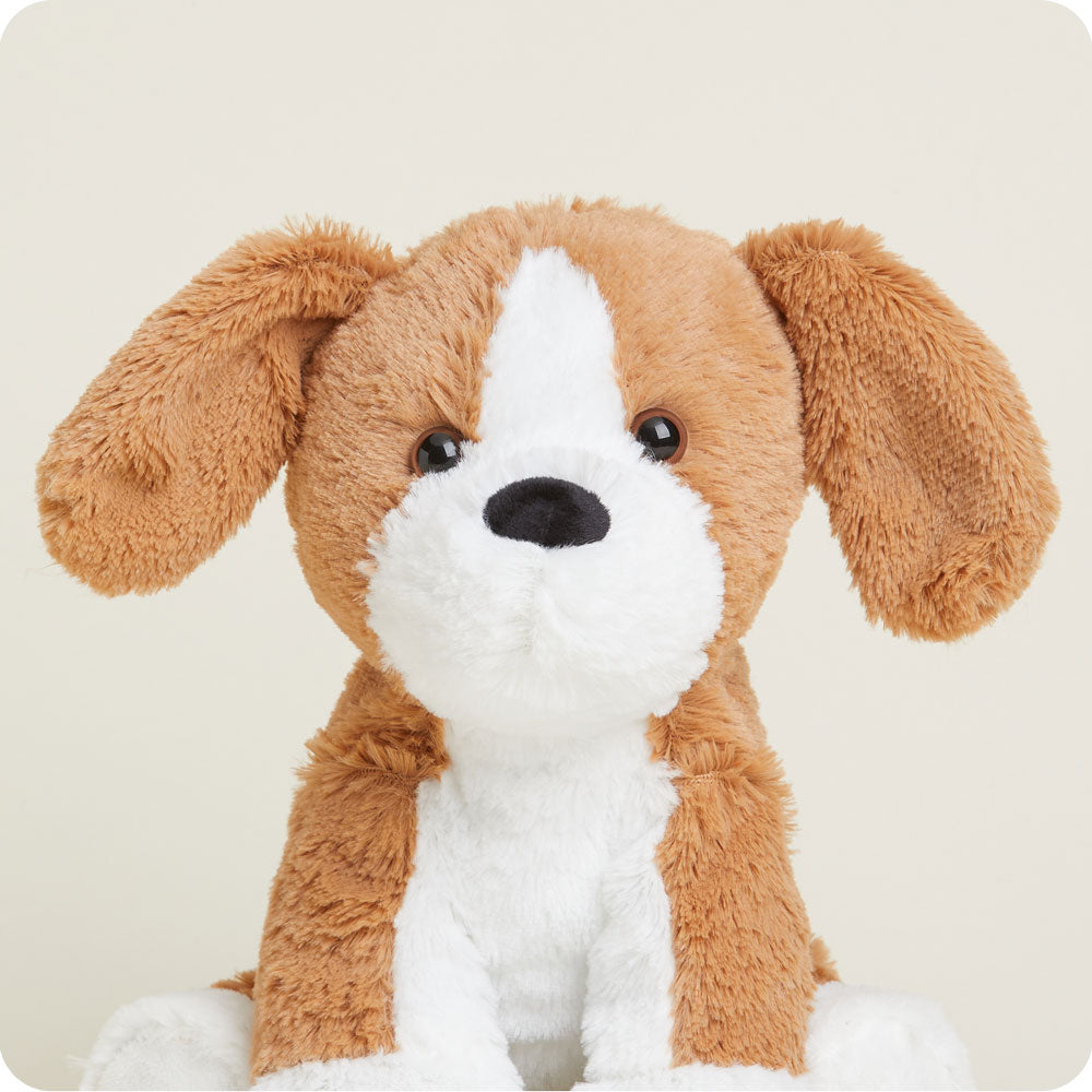 Beagle Warmies - Modern Blend