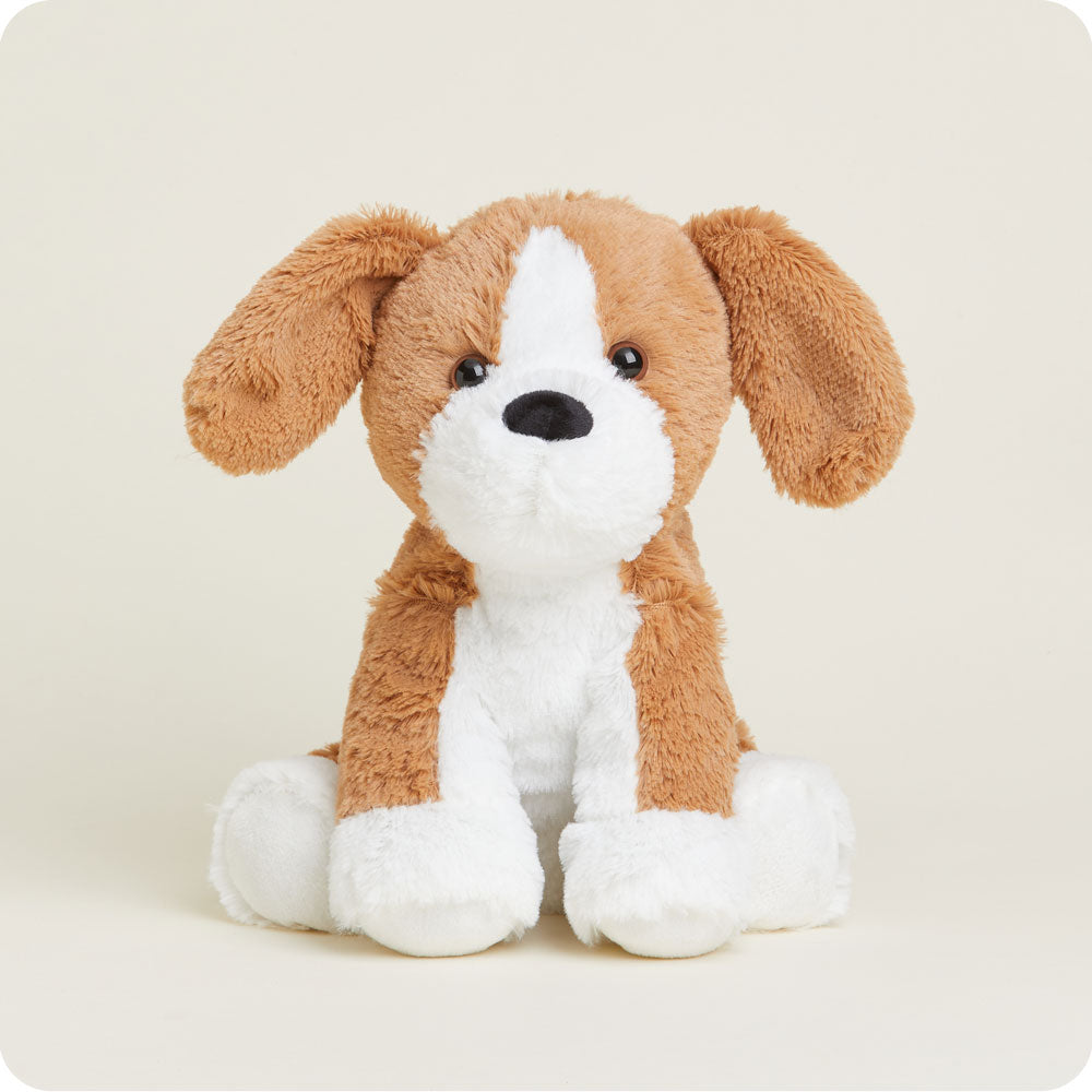 Beagle Warmies - Modern Blend
