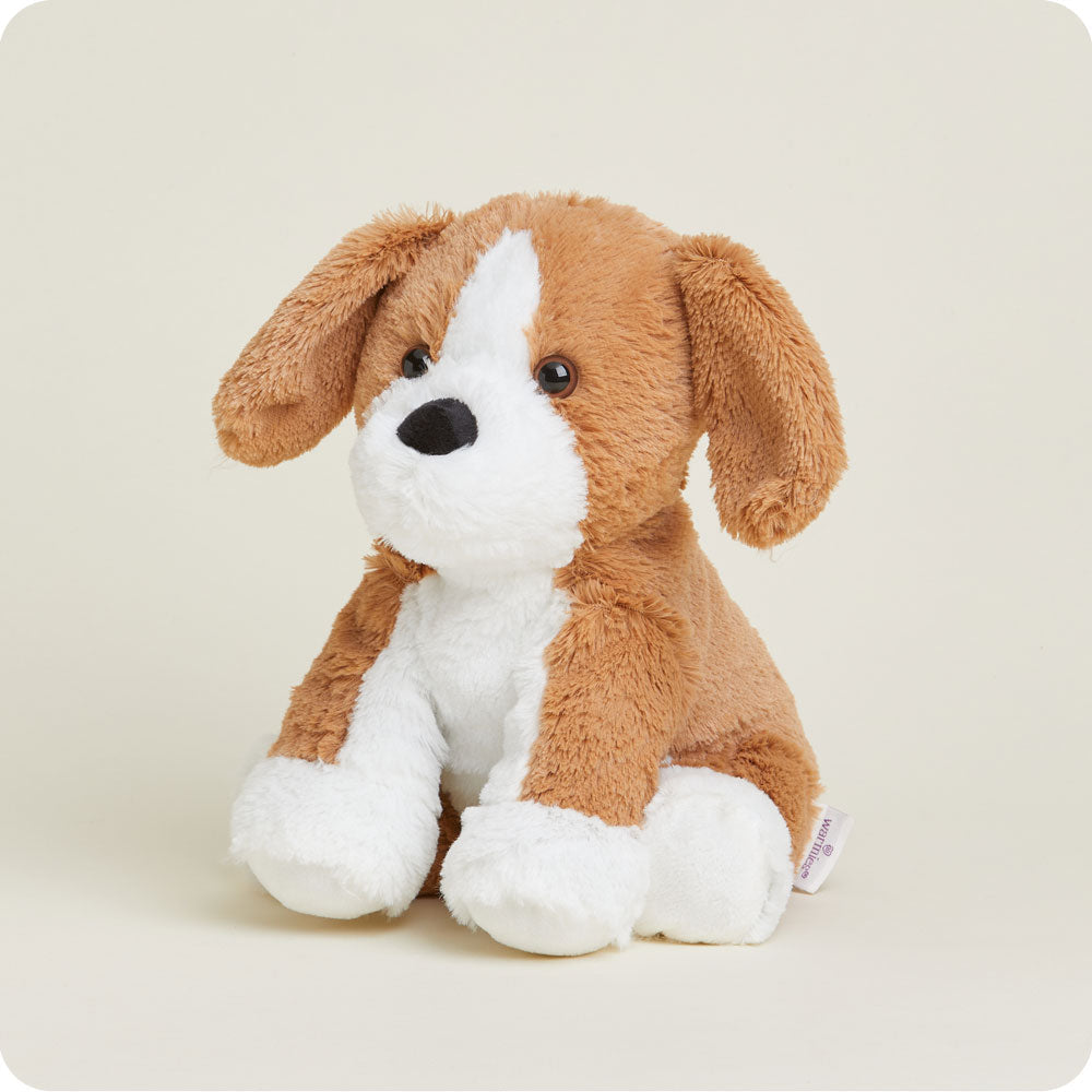 Beagle Warmies - Modern Blend