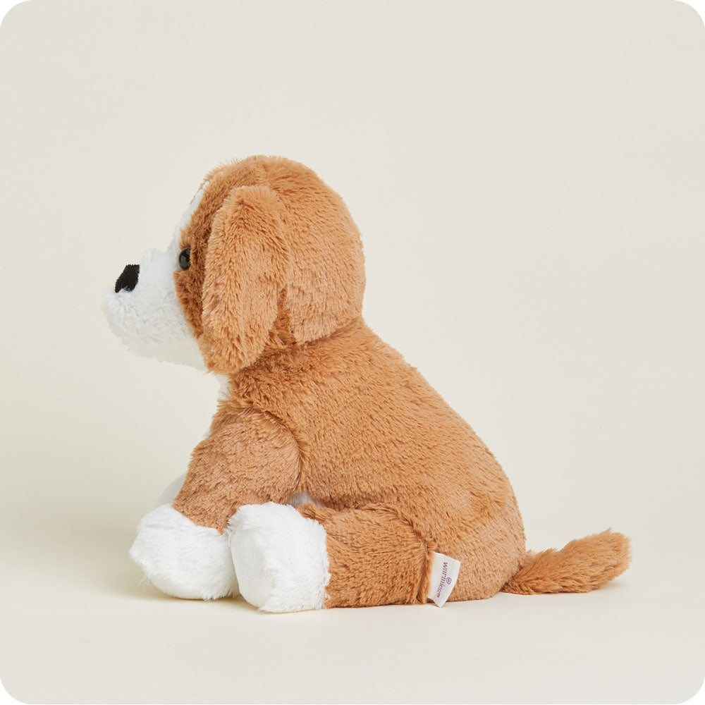 Beagle Warmies - Modern Blend