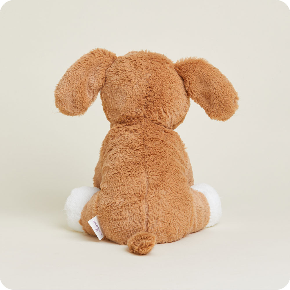 Beagle Warmies - Modern Blend
