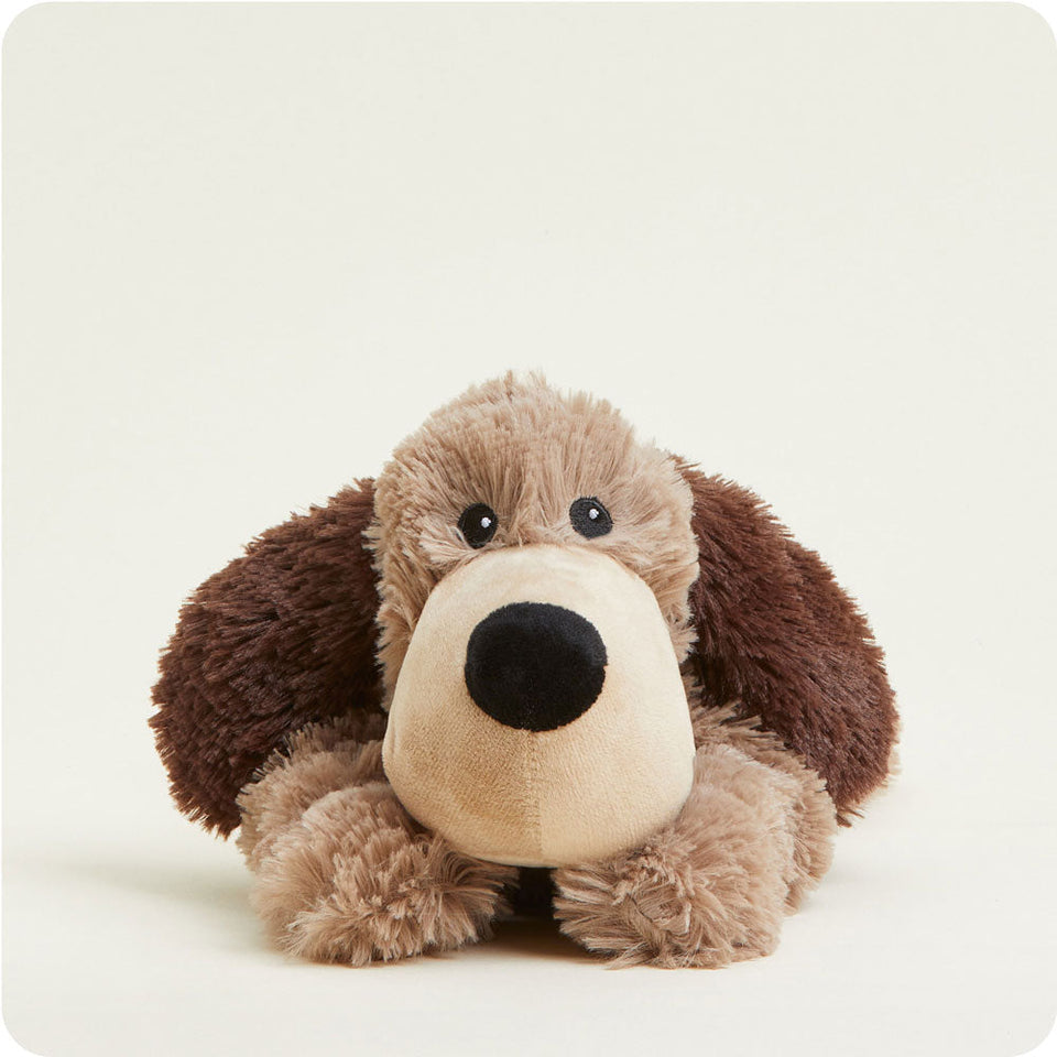 Brown Dog Warmies - Modern Blend