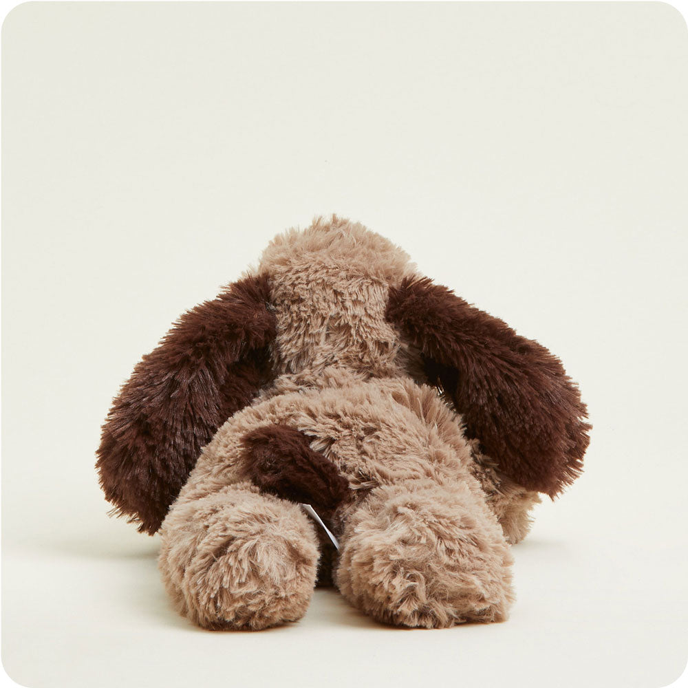 Brown Dog Warmies - Modern Blend