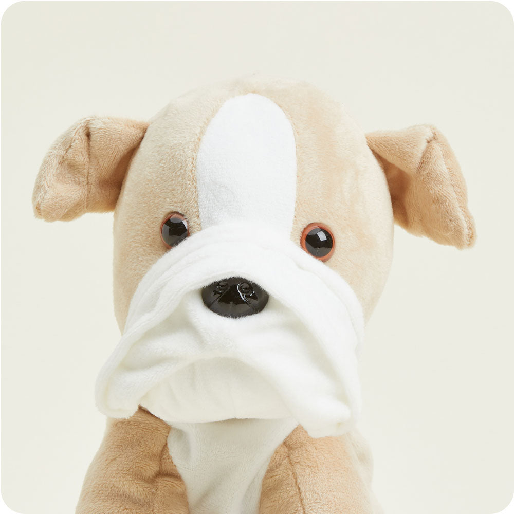 Bulldog Warmies - Classic Pick