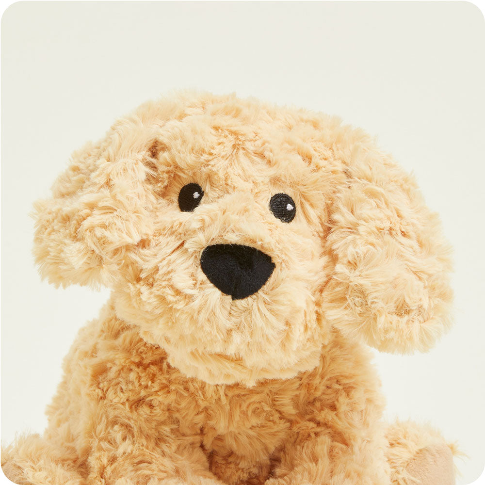 Golden Dog Warmies - Gentle Mist