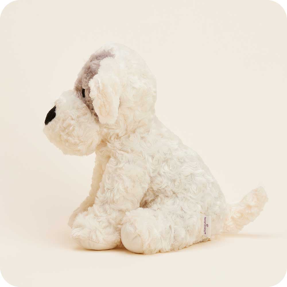 Patch Curly Dog Warmies - Daily Scent