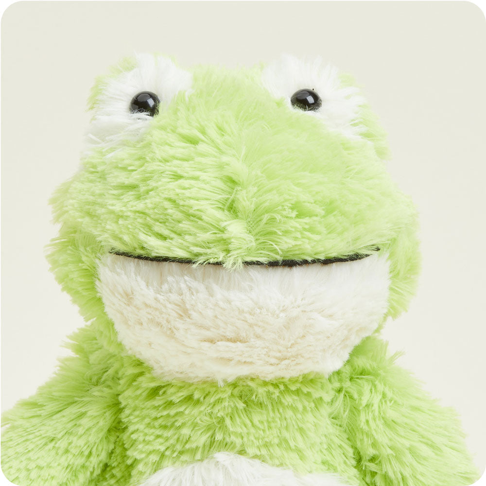Frog Warmies - Classic Notes