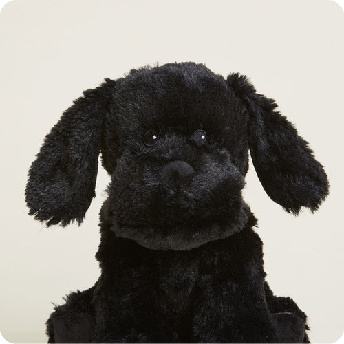 Black Labrador Warmies - Gentle Mist
