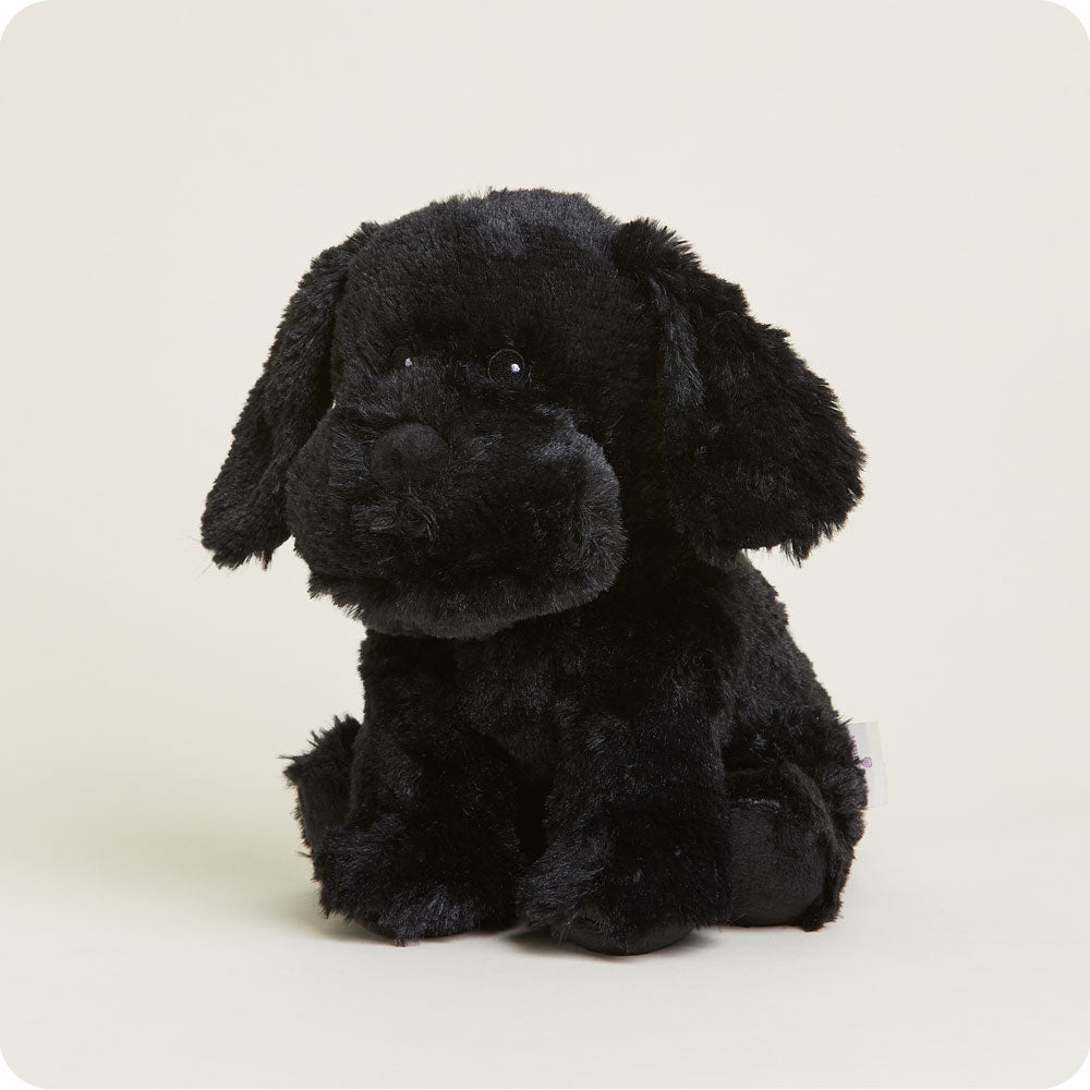 Black Labrador Warmies - Gentle Mist