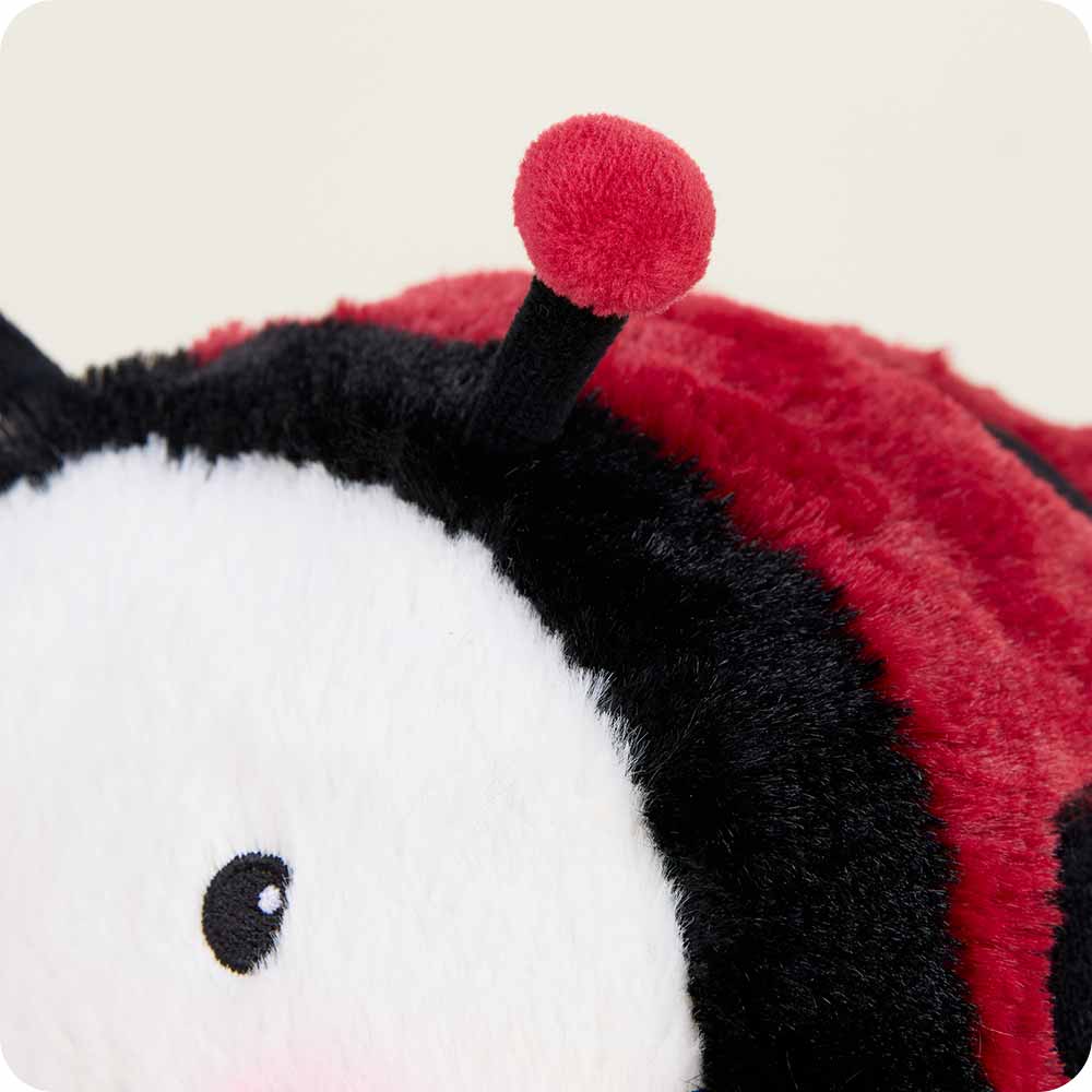 Ladybug Warmies - Soft Glow