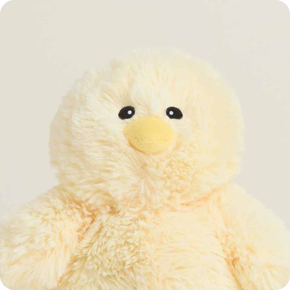 Chick Warmies Junior - Ready Routine