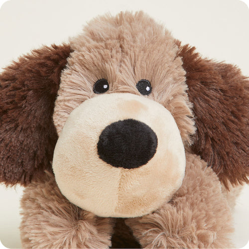 Brown Dog Warmies Junior - Daily Scent