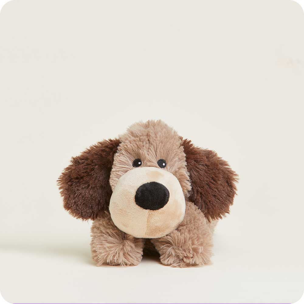Brown Dog Warmies Junior - Daily Scent