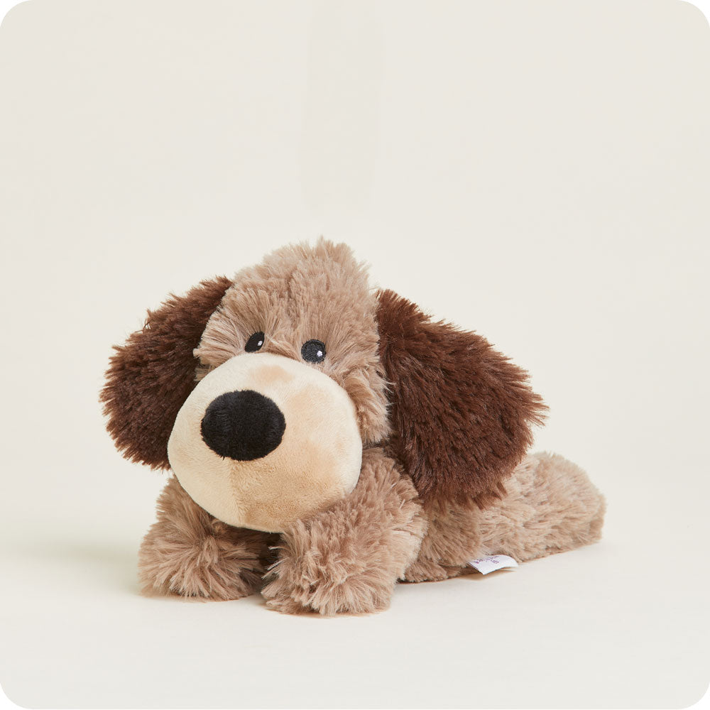 Brown Dog Warmies Junior - Daily Scent