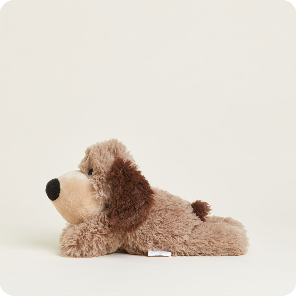Brown Dog Warmies Junior - Daily Scent