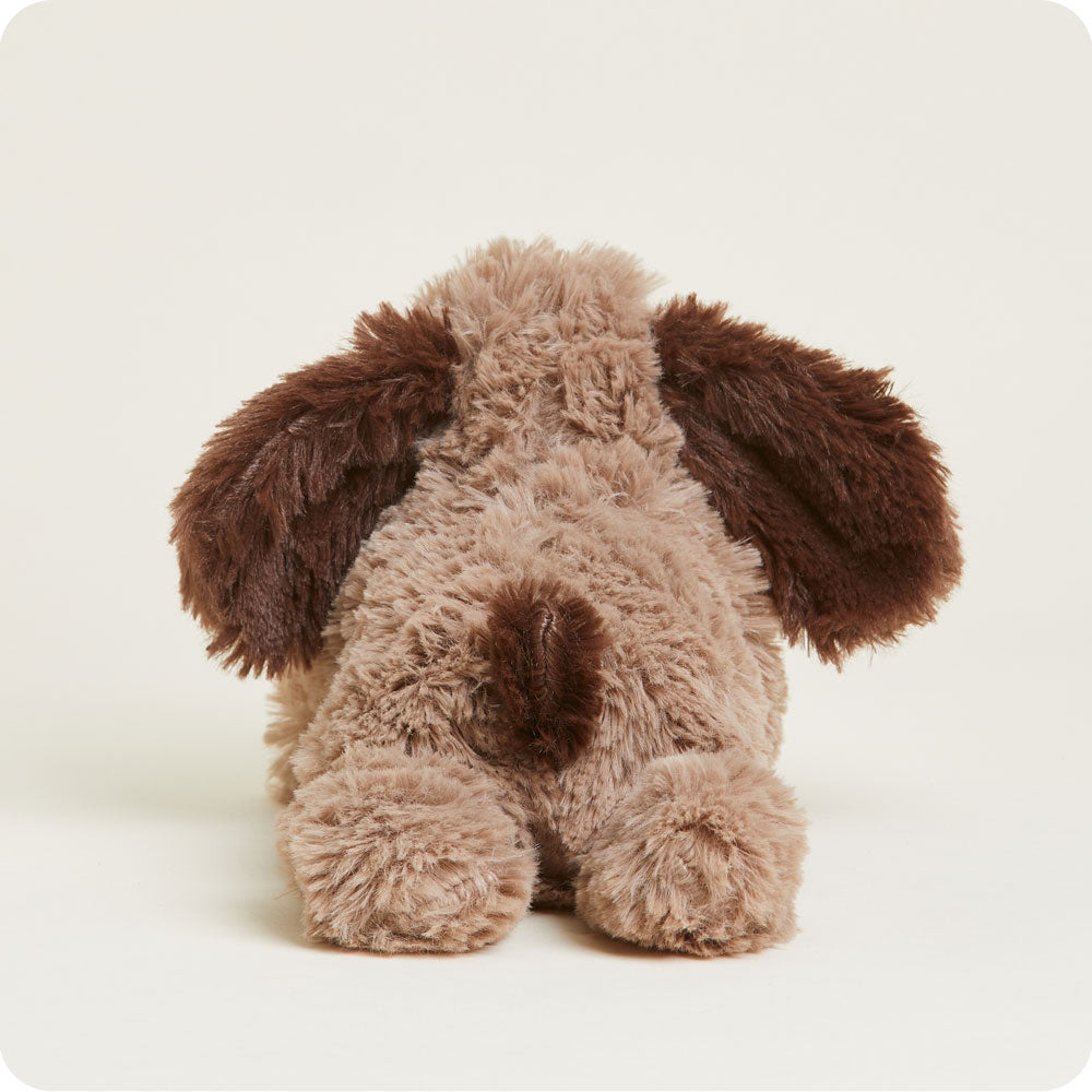 Brown Dog Warmies Junior - Daily Scent