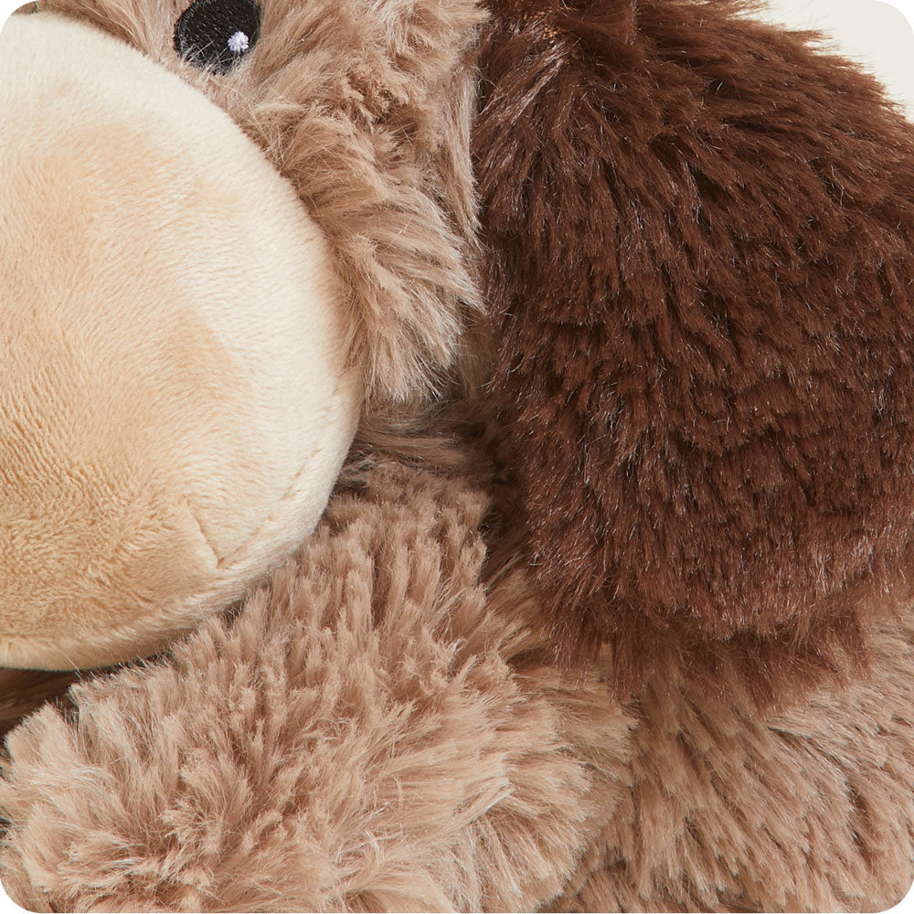 Brown Dog Warmies Junior - Daily Scent