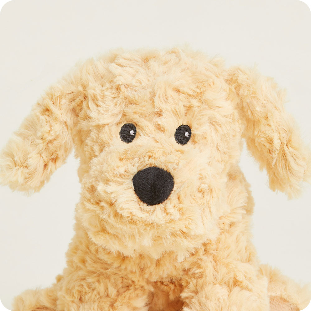 Golden Dog Warmies Junior - Classic Notes