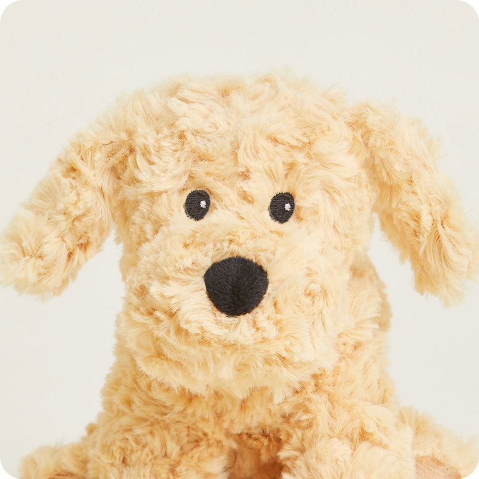 Golden Dog Warmies Junior - Classic Notes
