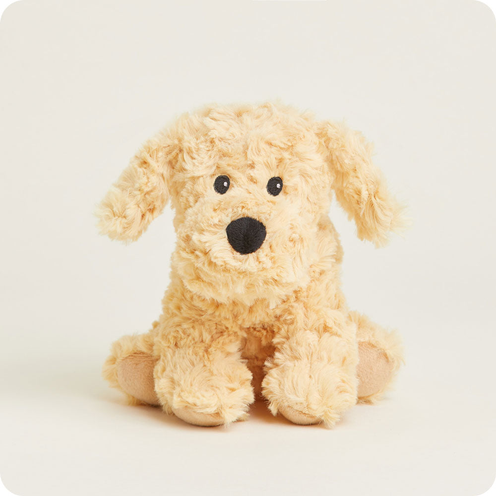 Golden Dog Warmies Junior - Classic Notes