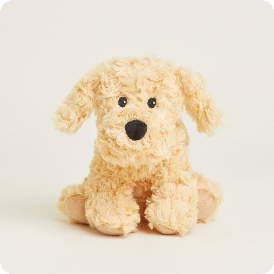 Golden Dog Warmies Junior - Classic Notes
