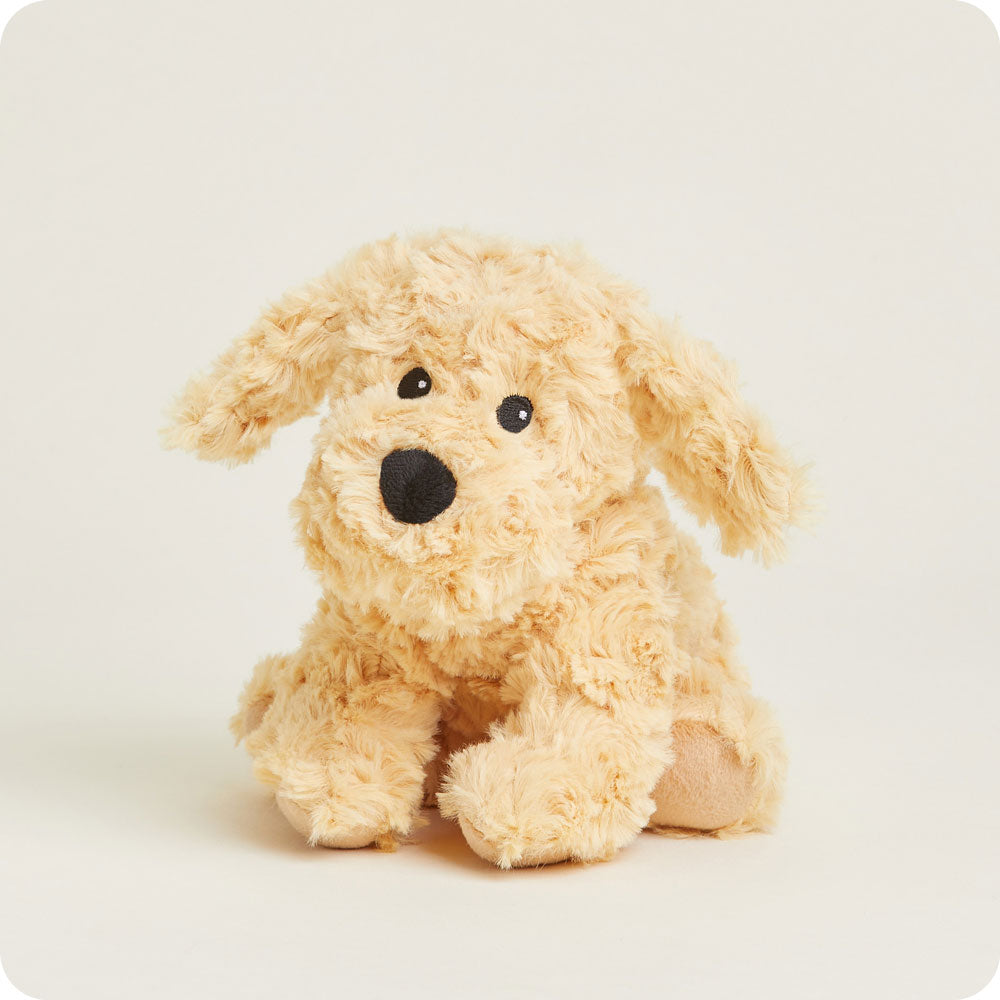 Golden Dog Warmies Junior - Classic Notes
