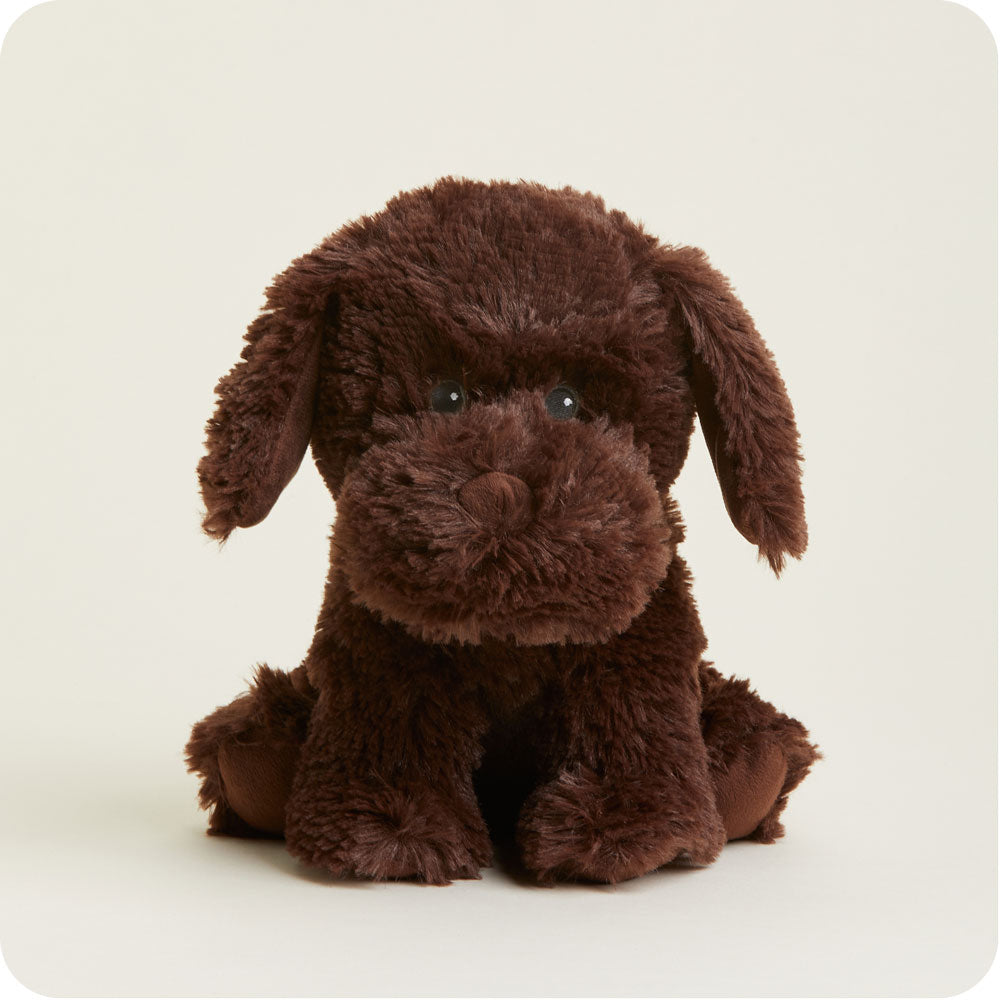 Chocolate Labrador Warmies - Home Glow