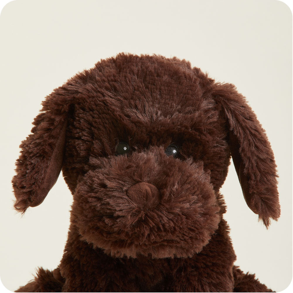 Chocolate Labrador Warmies - Home Glow