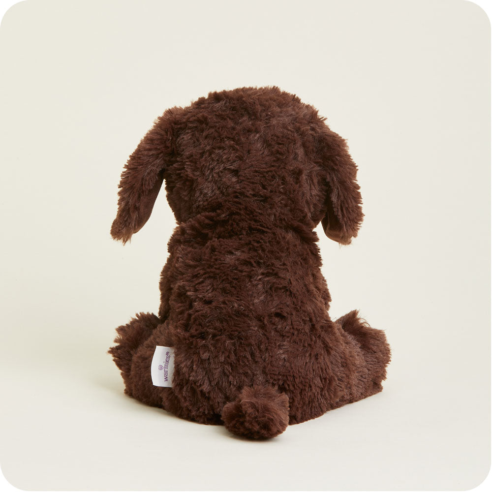 Chocolate Labrador Warmies - Home Glow