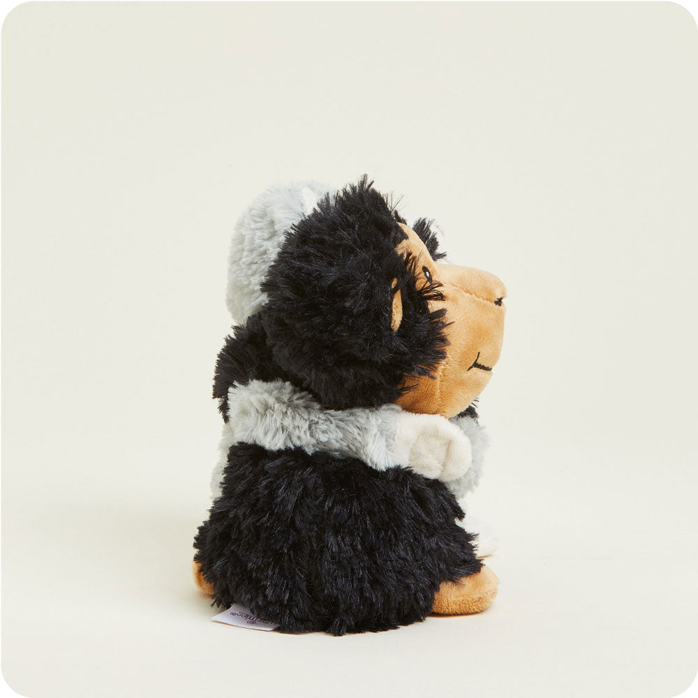 Monkey Hugs - Home Choice