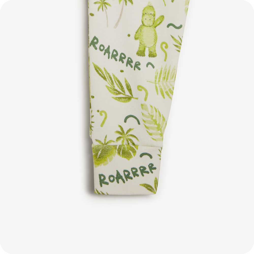 Dinosaur Long Pajamas - Home Choice