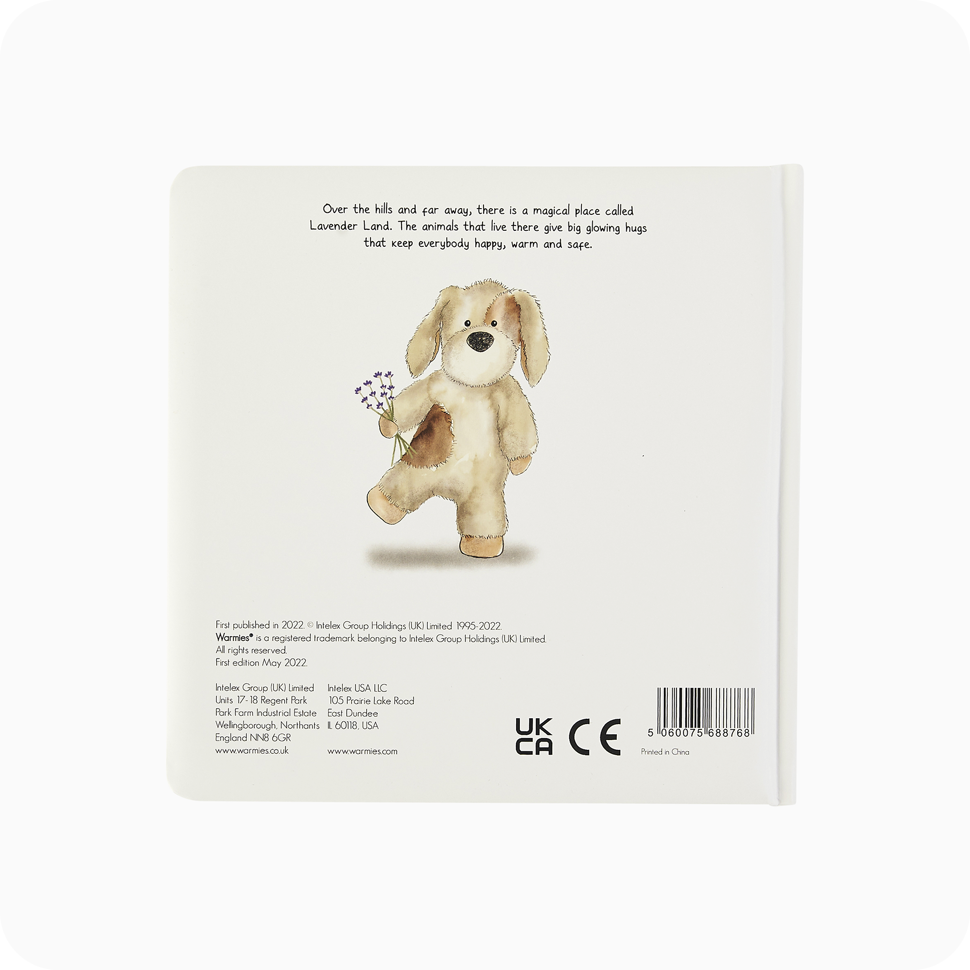 A Special Secret Place Board Book - Fresh Pair