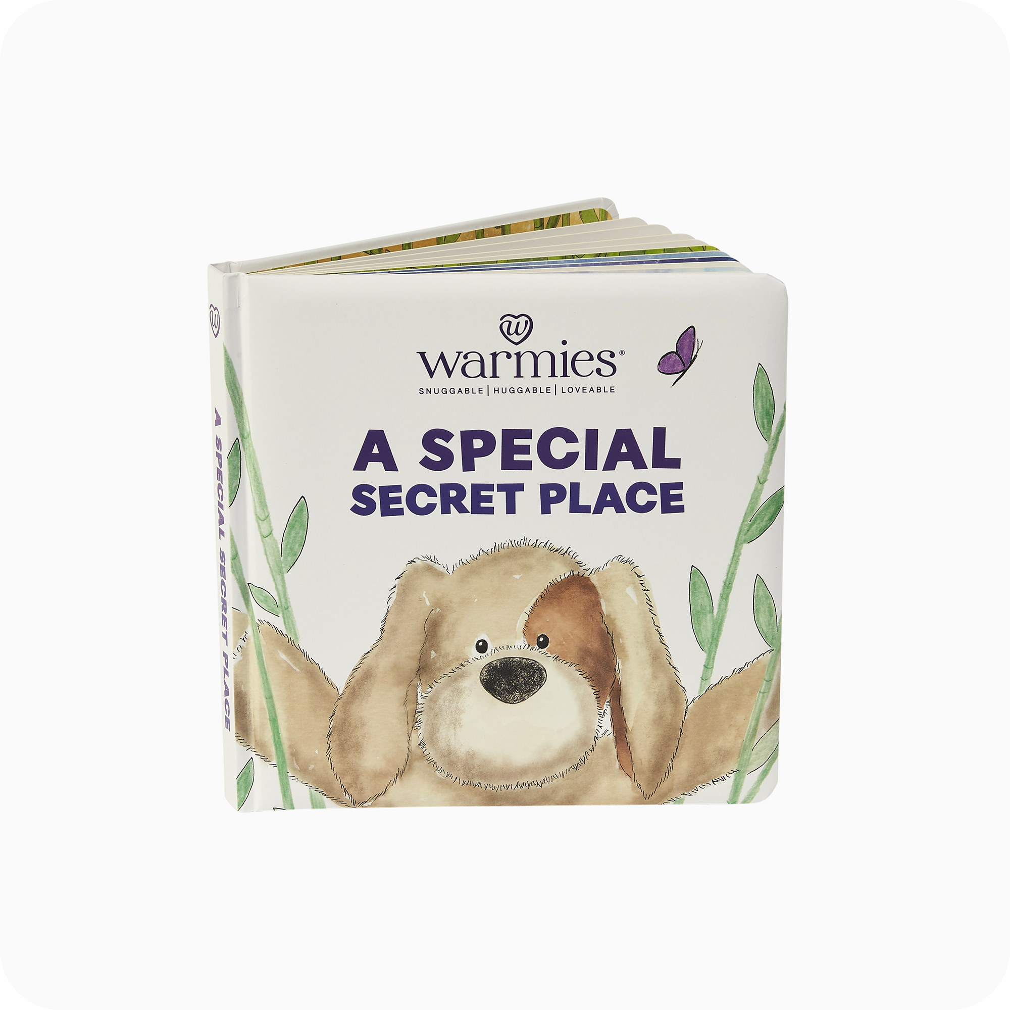 A Special Secret Place Board Book - Fresh Pair