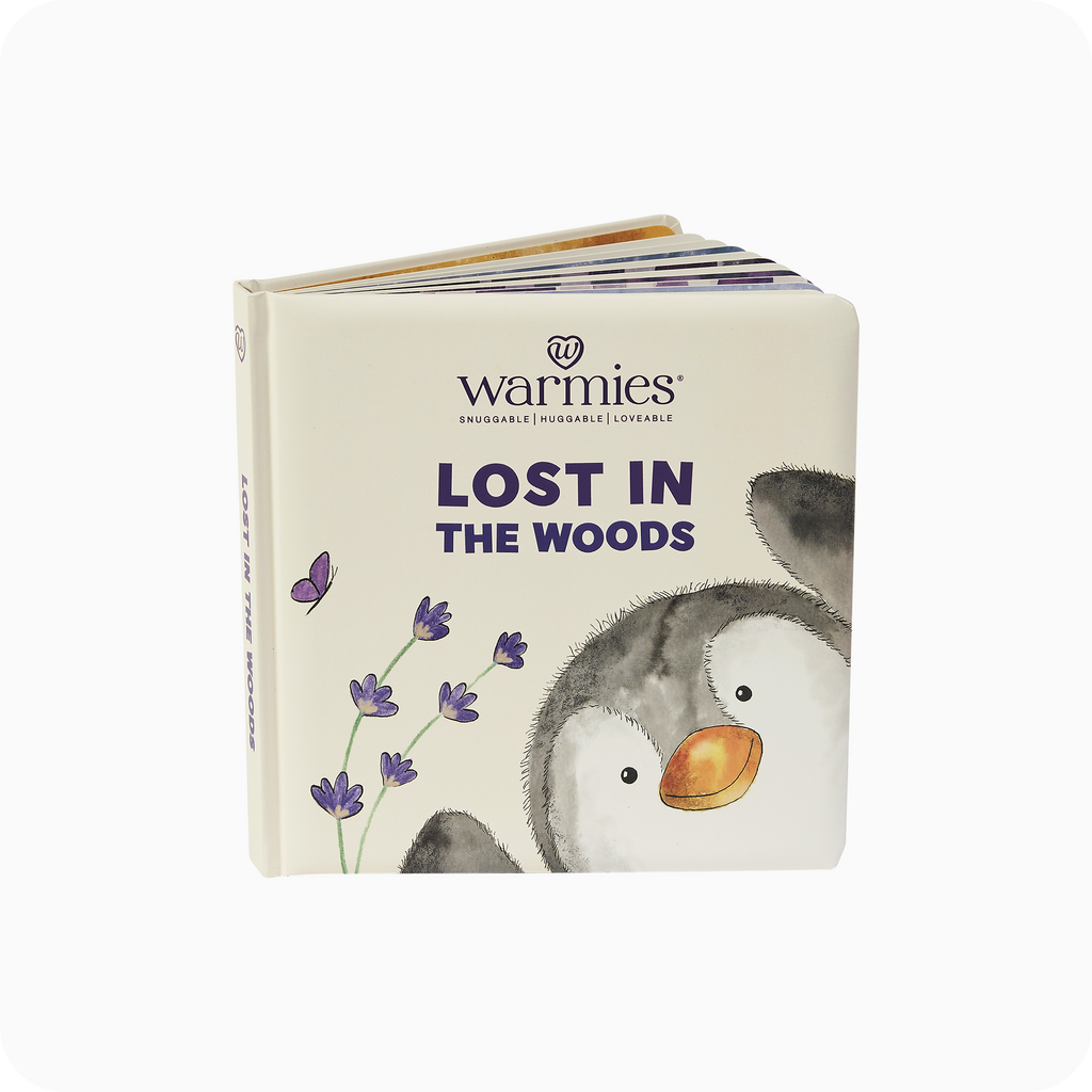 Lost in the Woods Board Book - Fresh Pair
