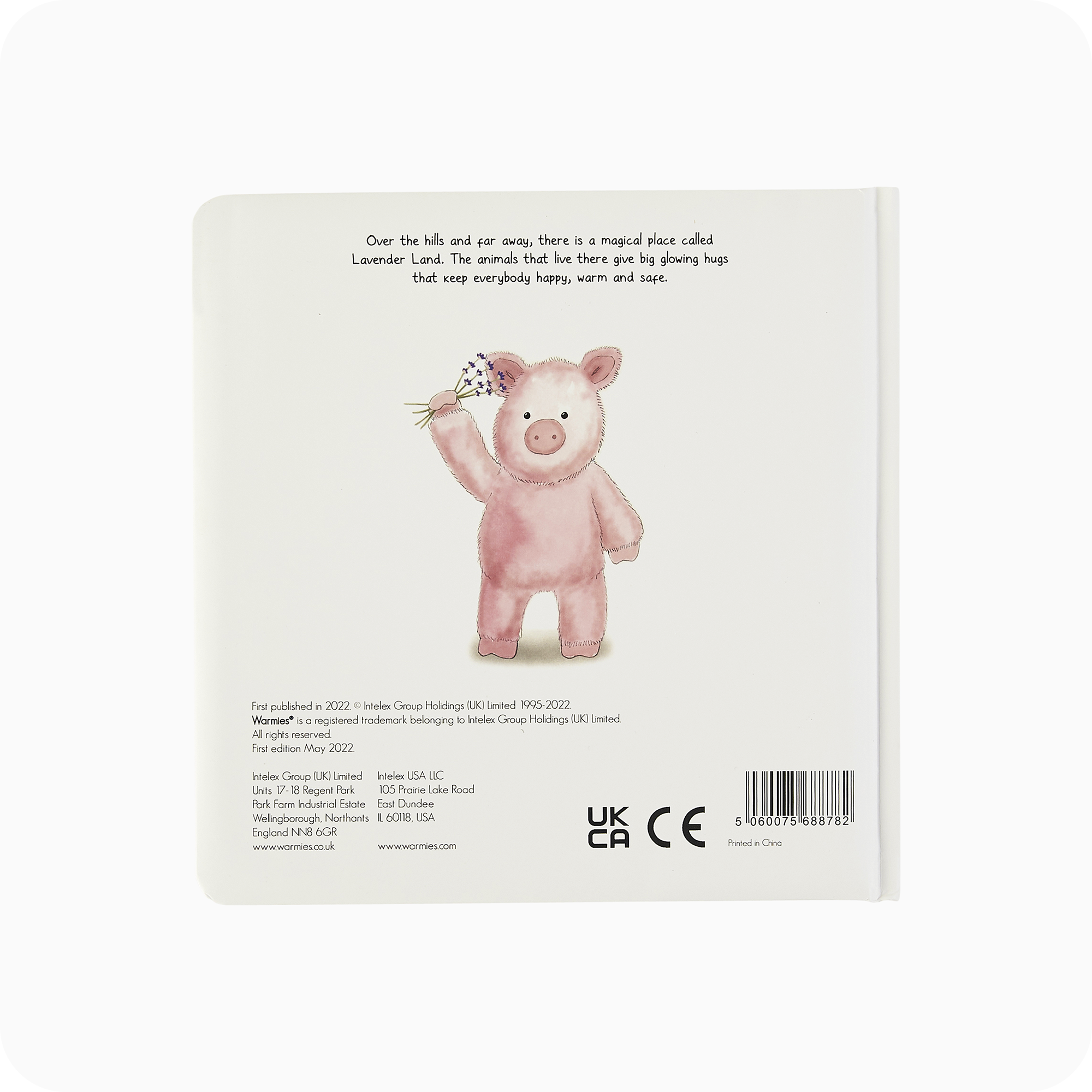 Pigs Can Fly Board Book - Home Choice
