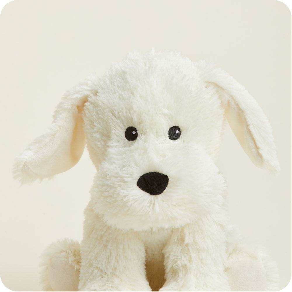 Yellow Labrador Warmies - Classic Notes