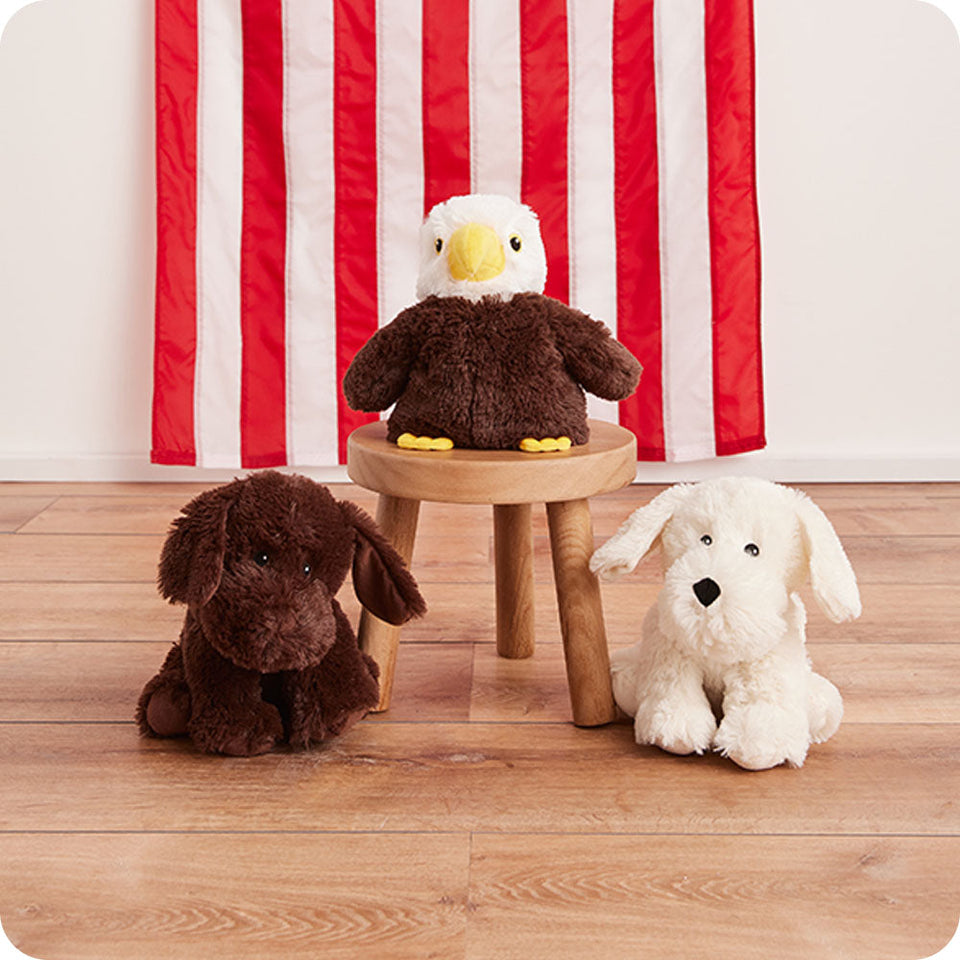 Yellow Labrador Warmies - Classic Notes