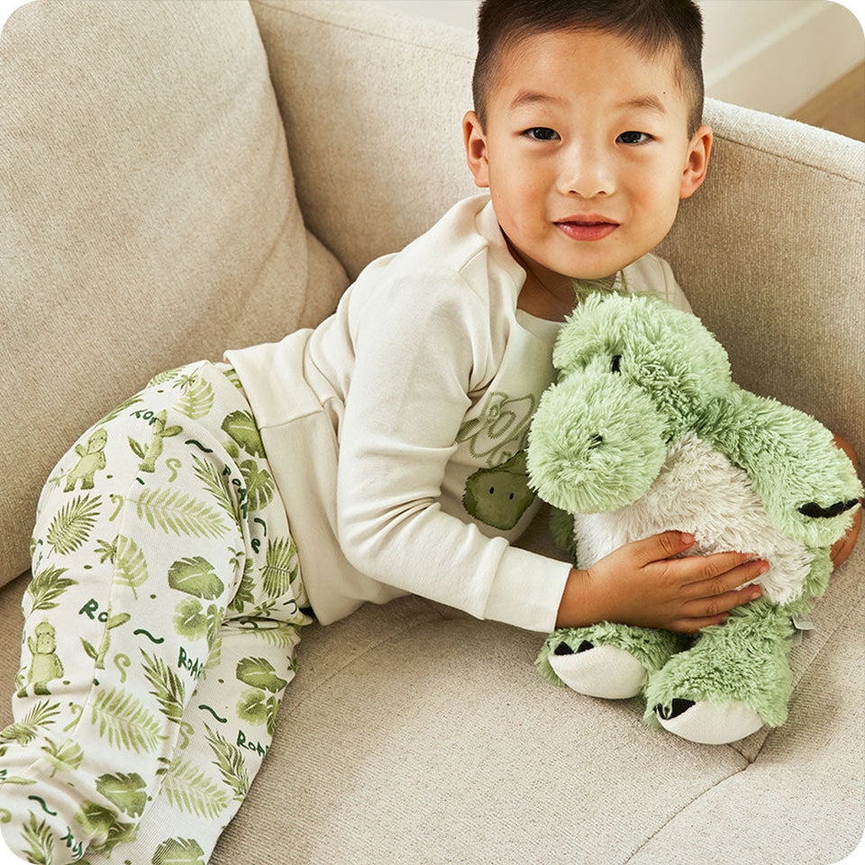 Green Dinosaur Warmies - Clean Mood